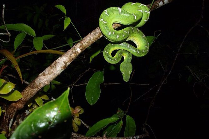 Best of Ecuadors Mainland in 14 Days - Mindo Cloud Forest