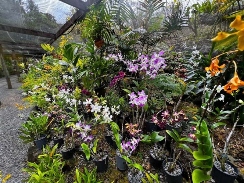 Best of Fiji Tours: 3 Days Package - Good To Know