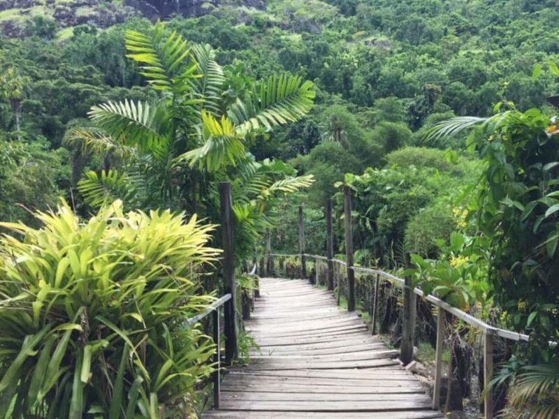 Best of Fiji Tours: 3 Days Package - The Sum Up