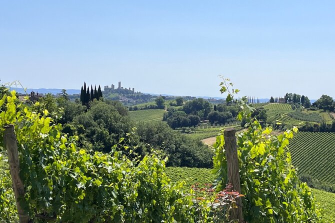 Best of Florence & Tuscany by High-speed Train From Rome - Reviews and Recommendations