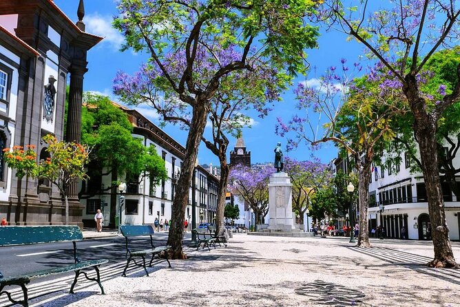 Best of Funchal Private Walking Tour With Local Specialities Tasting - The Sum Up