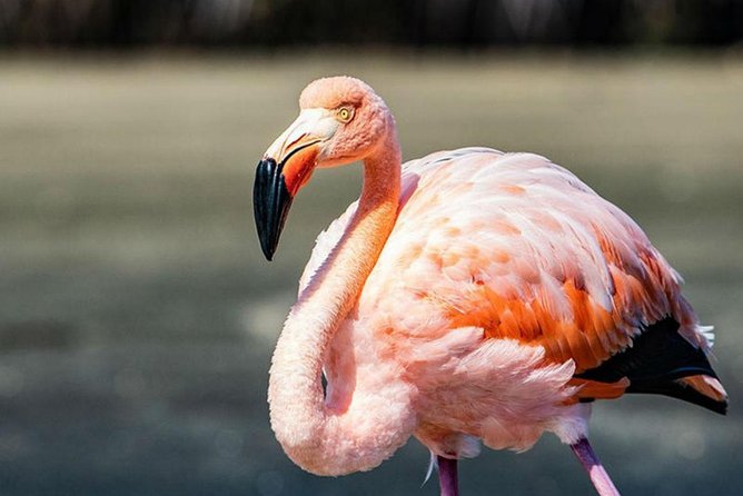 Best of Galapagos 7-Day Tour With Hotels and Transport (Feb ) - Inclusions