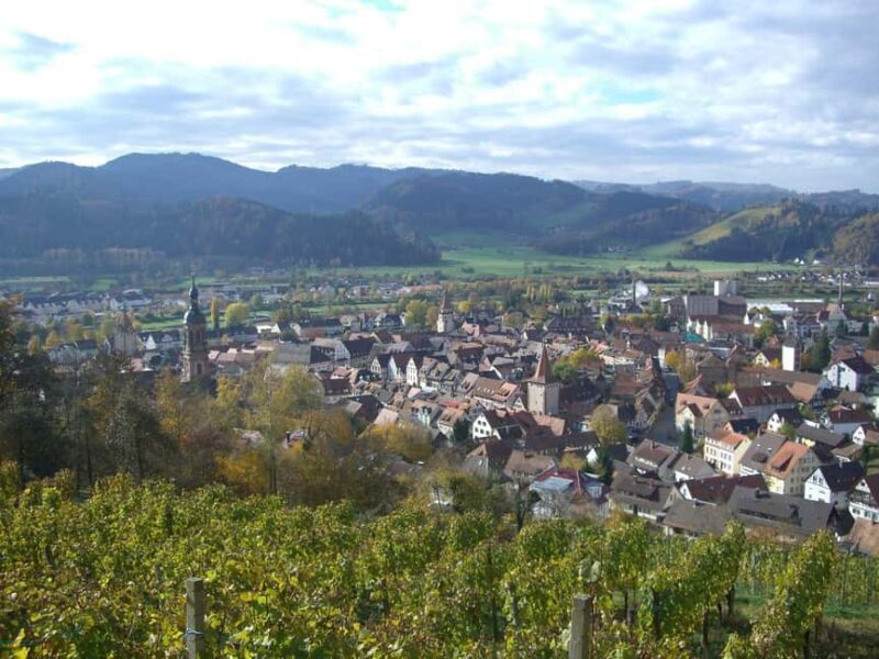 Best of Gengenbach Walk Tour with a Professional Guide - An In-Depth Look at the Gengenbach Experience