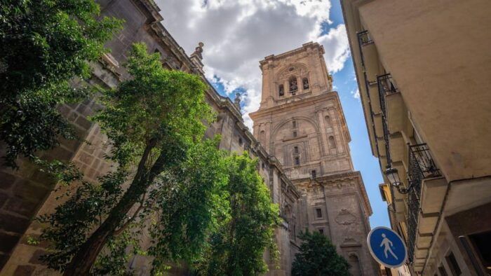 Best of Granada: Private Walking Tour With a Local - Additional Tour Information and Customer Feedback