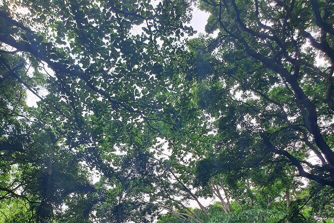 Best of Grenada Falls, Lake, Rum and Cocoa Experience - Market Square: Vibrant Flavors and Local Crafts