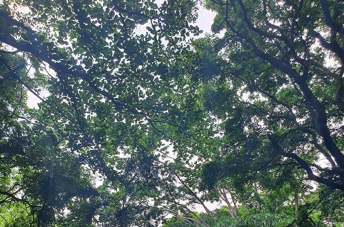 Best of Grenada Falls, Lake, Rum and Cocoa Experience - What Reviewers Say About Guides and Experience