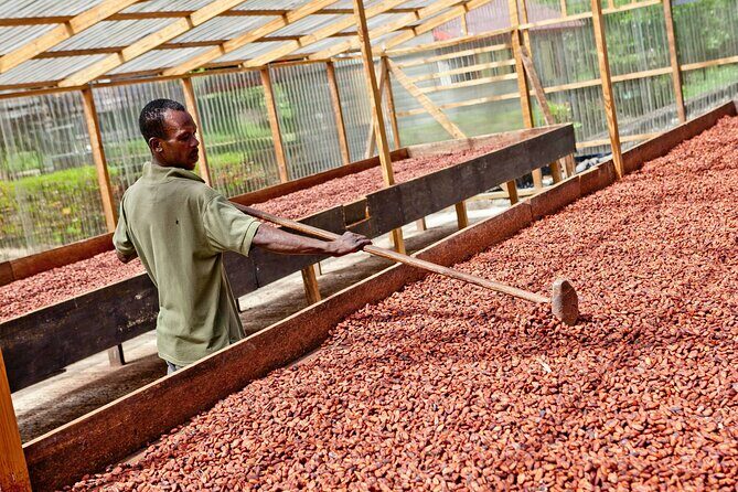 Best Of Grenada Historical Spice Tour and Annandale Waterfall - FAQ