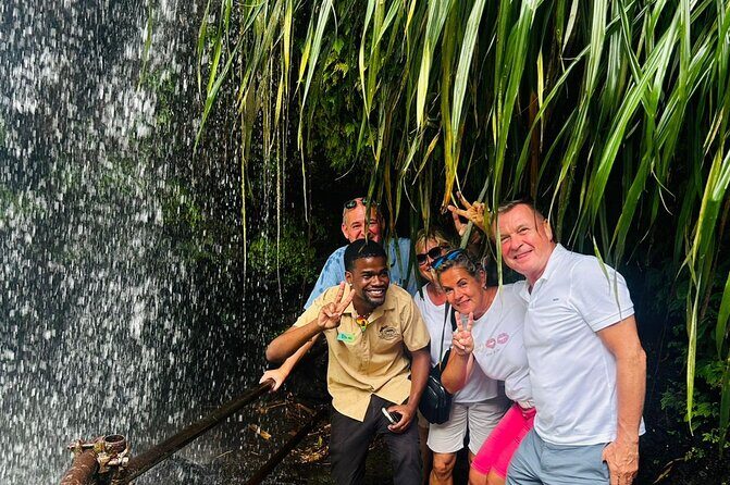 Best of Grenada: Waterfall, Grand Etang & Chocolate Half Day Tour - The Natural Wonders of Annandale Waterfall