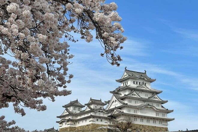 Best of Himeji Castle and Gardens: 3hr Guided Walking Tour - Participant Information