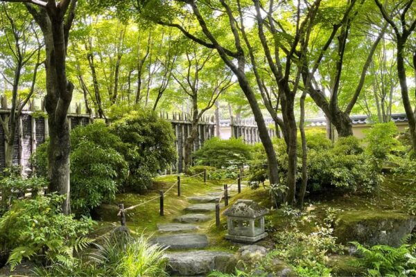 Best of Himeji Castle and Gardens: 3hr Guided Walking Tour - Customer Reviews and Feedback