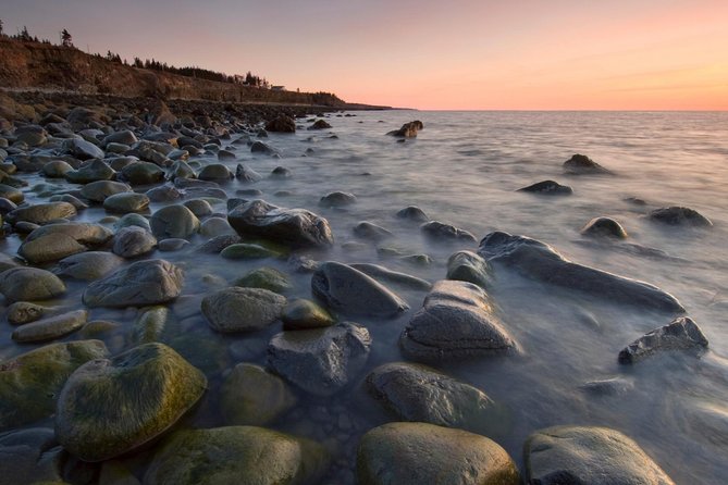 Best of Hopewell Rocks & Fundy National Park From Moncton - Hopewell Rocks: Natural Wonders & Tidal Exploration