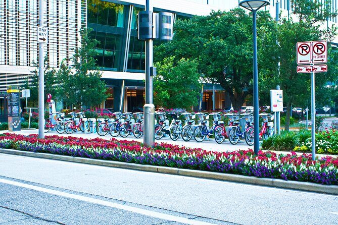 Best of Houston Sightseeing City Tour Small Group - The Sum Up