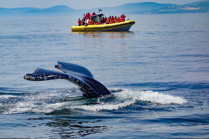 Best of Iceland 9-Day Tour With Private Transport  - Akureyri - The Sum Up