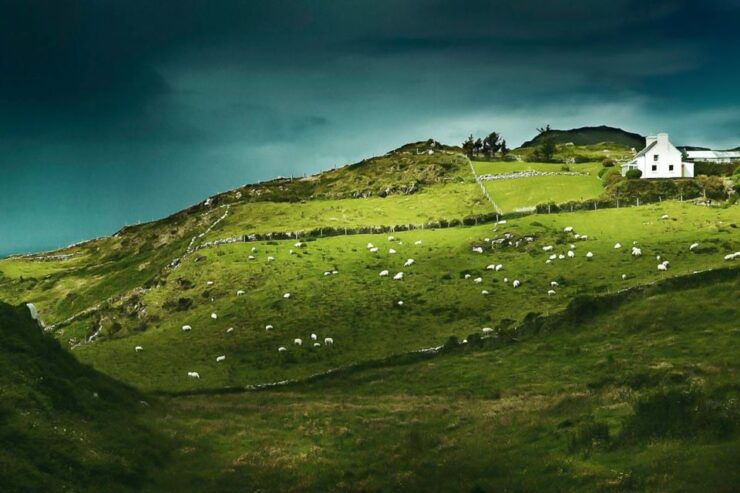 Best of Ireland 6-Day Backpackers Economy Tour - Tour Details