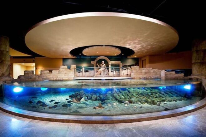 Best of Istanbul Aquarium Tour With Ticket & Hotel Transfer - Inclusions and Important Information