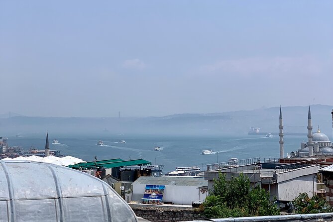 Best of Istanbul: Layover Private Guided Tour With Van Transportation - Review Rating and Count