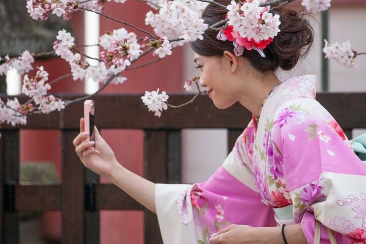 Best of Japan: Tokyo to Osaka by Odynovo - 9-Day Tour - What makes this Japan tour worth a closer look