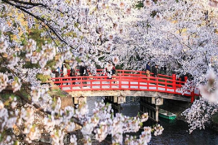 Best of Japan: Tokyo to Osaka by Odynovo - 9-Day Tour - Tokyo begins with shrines, gardens and a crowded shopping lane