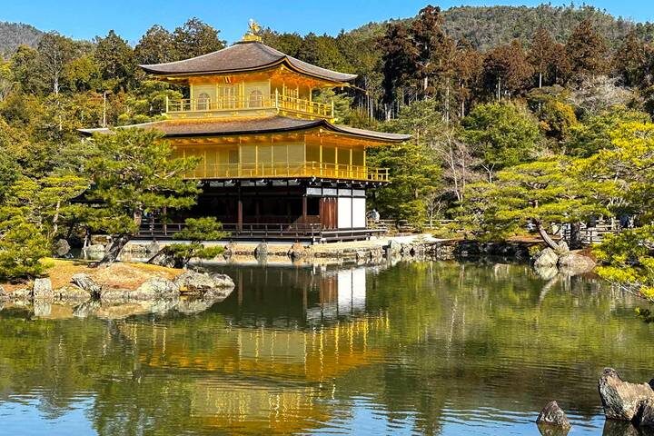Best of Japan: Tokyo to Osaka by Odynovo - 9-Day Tour - The Shinkansen makes the move to Kyoto part of the trip