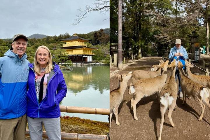 Best of Japan: Tokyo to Osaka by Odynovo - 9-Day Tour - A free Kyoto day rewards a little planning