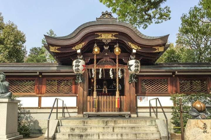 Best of Japan: Tokyo to Osaka by Odynovo - 9-Day Tour - What the price includes, and what it leaves to you