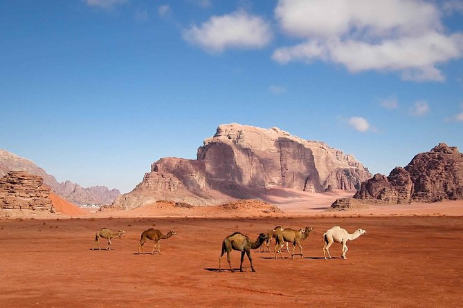 Best of Jordan Tour Amman Petra and Dead Sea With Camping at Wadi Rum - Accommodation and Meals