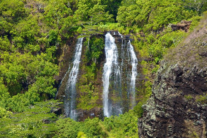 Best of Kauai Tour by Land and River - Cancellation Policy
