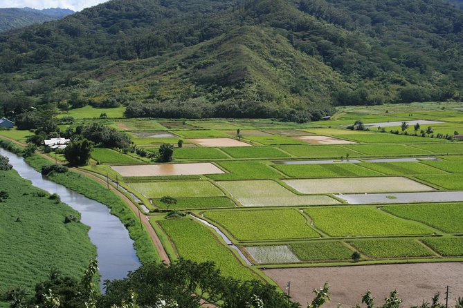 Best of Kauai Tour by Land and River - Directions