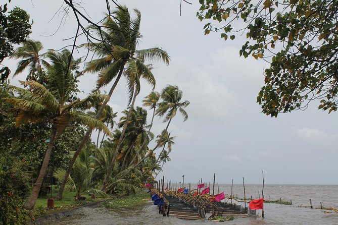 Best of Kerala - Inclusions and Exclusions