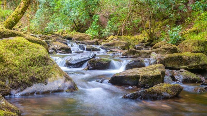 Best of Killarney: Private Walking Tour with a Local - A Closer Look at the Itinerary