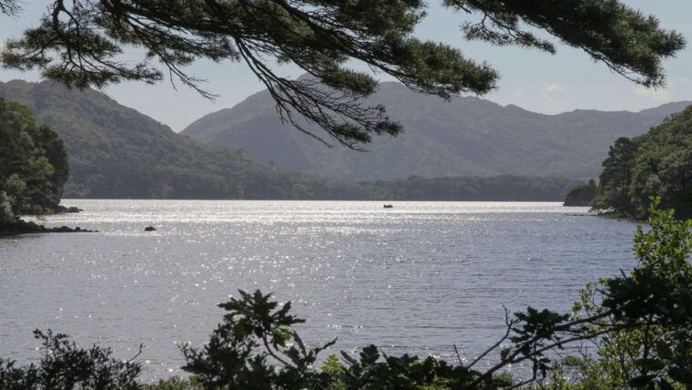 Best of Killarney: Private Walking Tour with a Local - The Sum Up: Who Will Love This Tour?