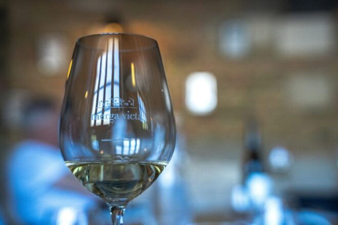 Best of Korcula Island Winerys by 4X4 Canam Buggys - Experience Details