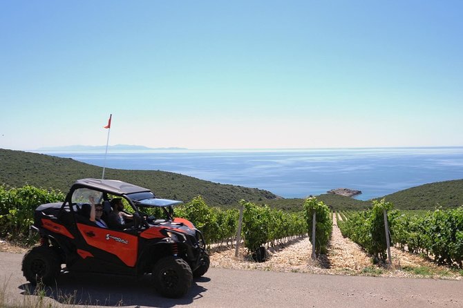 Best of Korcula Island Winerys by 4X4 Canam Buggys - Tour Highlights