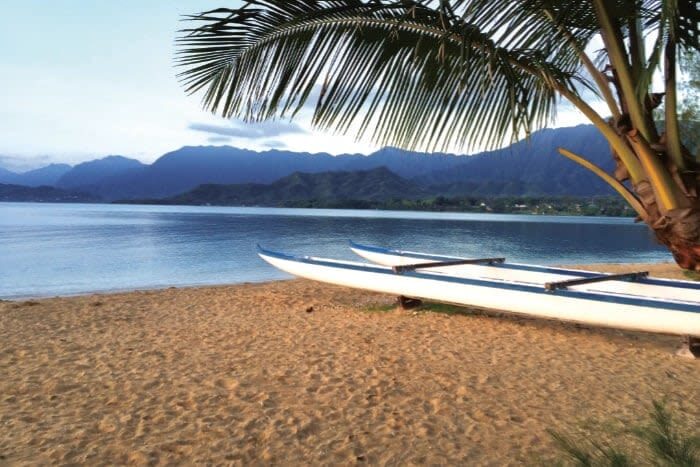 Best of Kualoa Experience Ultimate Tour in Oahu - Jungle Expedition: scenery over speed