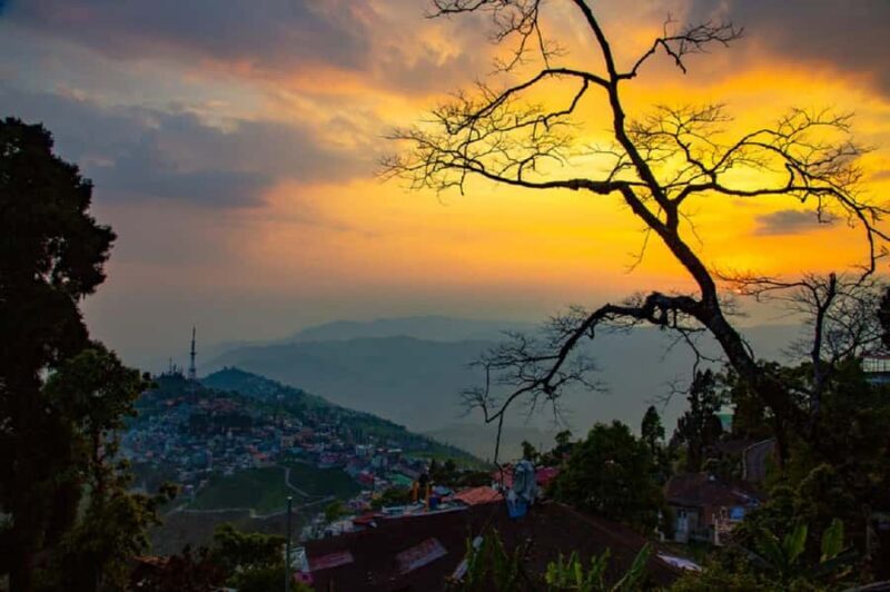 Best of Kurseong: Guided Half-Day Tour with Hotel Pickup - The Sum Up