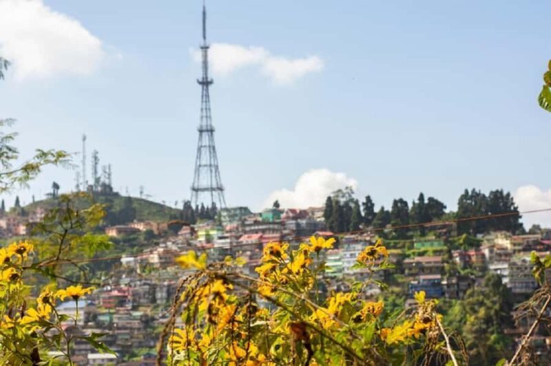 Best of Kurseong: Guided Half-Day Tour with Hotel Pickup - Final Thoughts