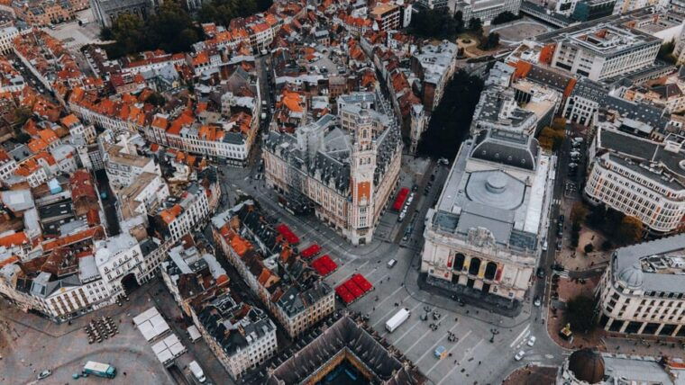 Best of Lille: Private Walking Tour With a Local - Important Information