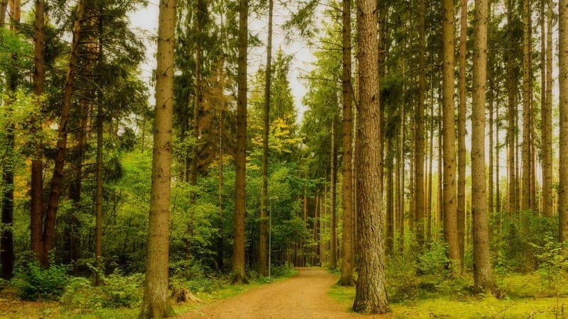 Best of Linköping: Private Walking Tour with a Local - The Experience from the Perspective of Past Travelers