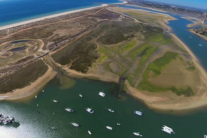 Best Of Lisbon Semi-Private Tour - Group Size and Personalization