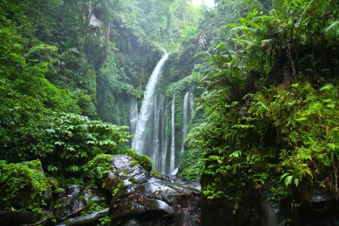Best of Lombok: Tribe Villages, Traditions & Waterfalls - Visit the Historic Bayan Mosque, Lomboks First Mosque