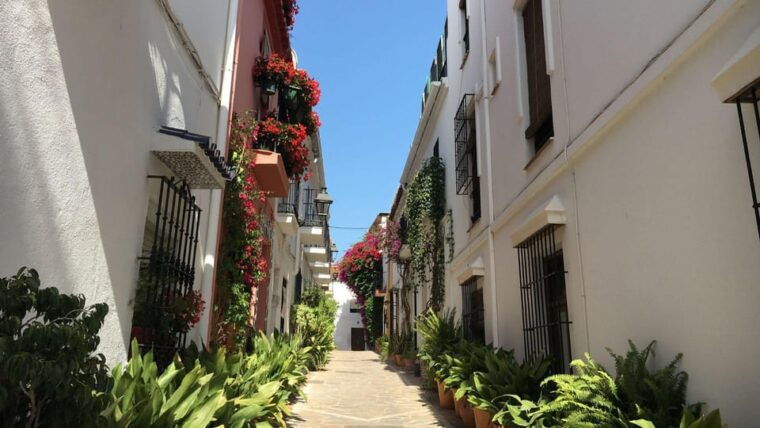 Best of Málaga: Private Walking Tour With a Local - Navigating the City With Insider Tips
