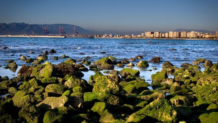 Best of Málaga: Private Walking Tour With a Local - Capturing Scenic Views and Iconic Landmarks
