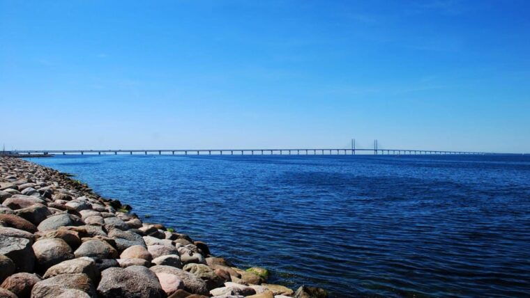 Best of Malmö: Private Walking Tour with a Local - Authentic Experiences Based on Reviews