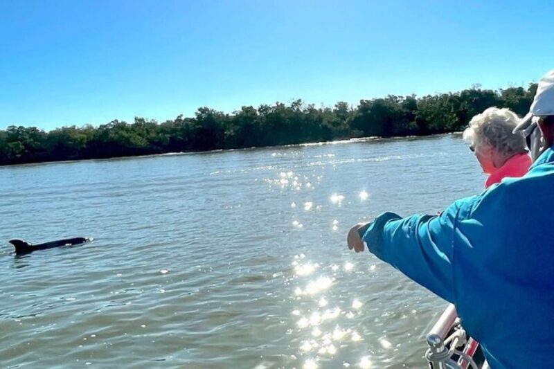 Best of Marco Dolphin Tour - Additional Practical Details