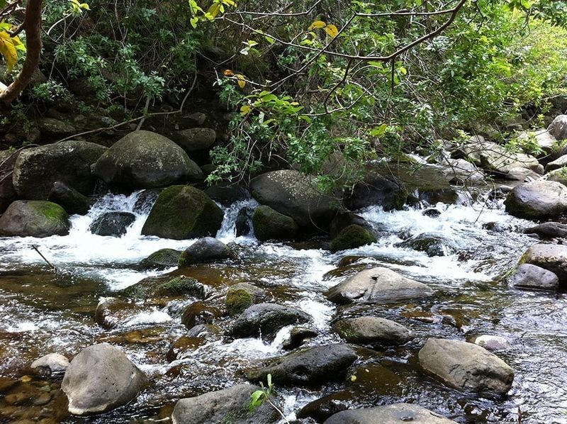 Best of Maui: Sips, Sites & Bites - Makawao: a town stop and time to eat