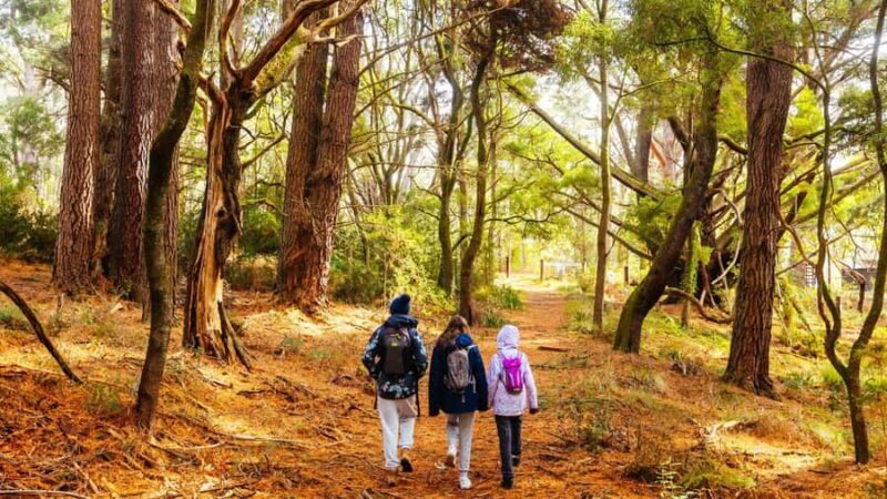 Best of Melbourne: Private Walking Tour with a Local - The Sum Up