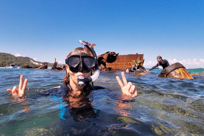 Best of Moreton Bay Cruise - Snorkel The Tangalooma Wrecks - Half-Day Snorkel Cruise From Brisbane