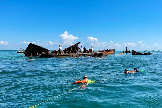 Best of Moreton Bay Cruise - Snorkel The Tangalooma Wrecks - Learn About the History of the Wrecks
