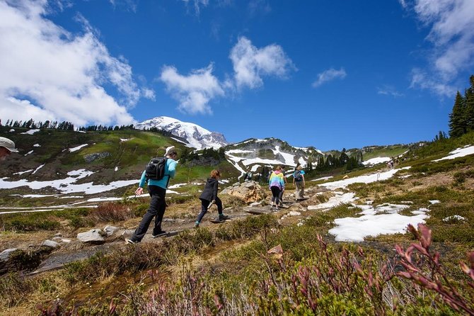 Best of Mount Rainier National Park From Seattle: All-Inclusive Small-Group Tour - Cancellation Policy