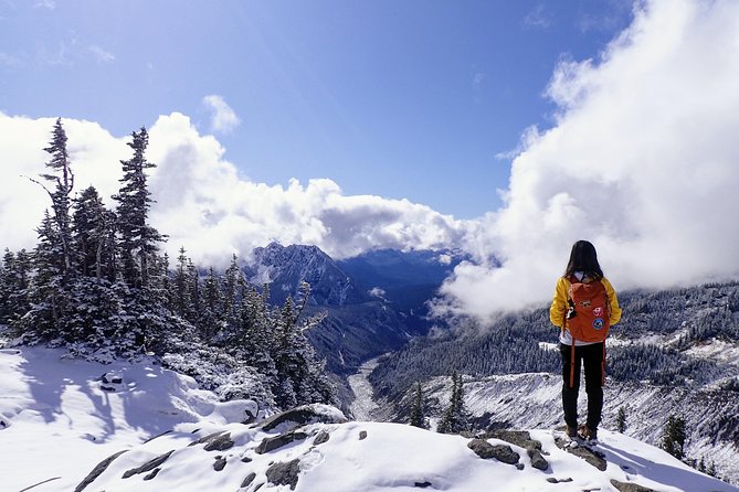 Best of Mount Rainier National Park From Seattle: All-Inclusive Small-Group Tour - Scenic Drive to the Park